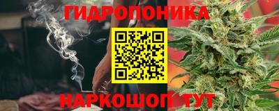 сатива Краснознаменск