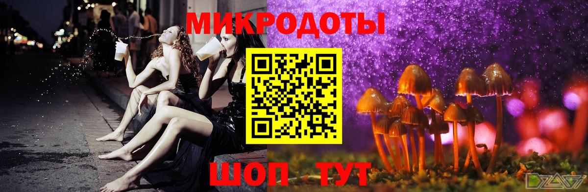 Елец  Галлюциногенные грибы Psilocybine cubensis  Вход с VPN 